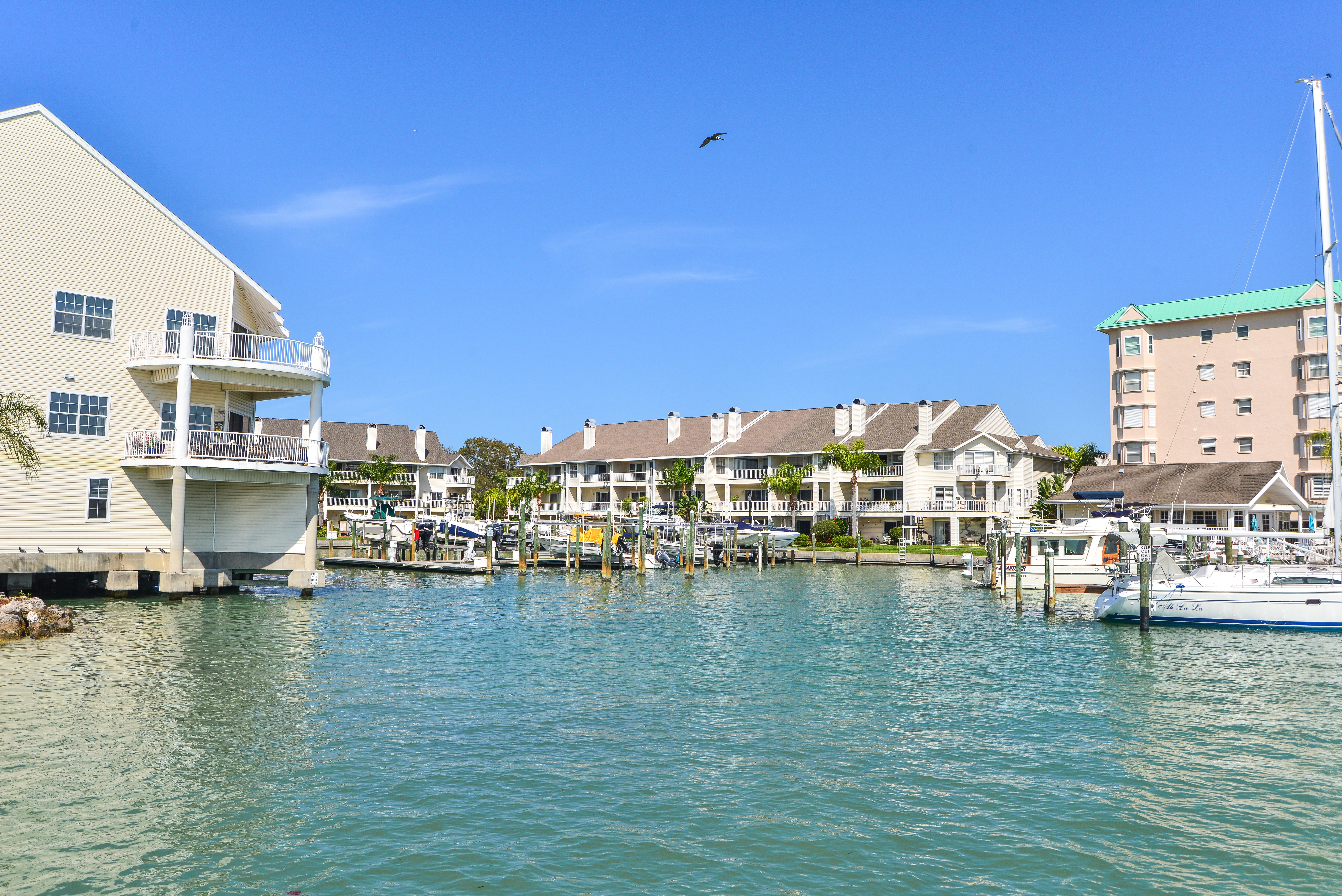 Downtown Tampa Activity